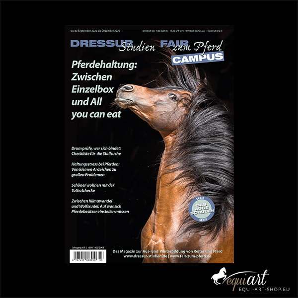 Dressur Studien "Optimale Pferdehaltung: Zwischen Einzelbox und All you can eat"