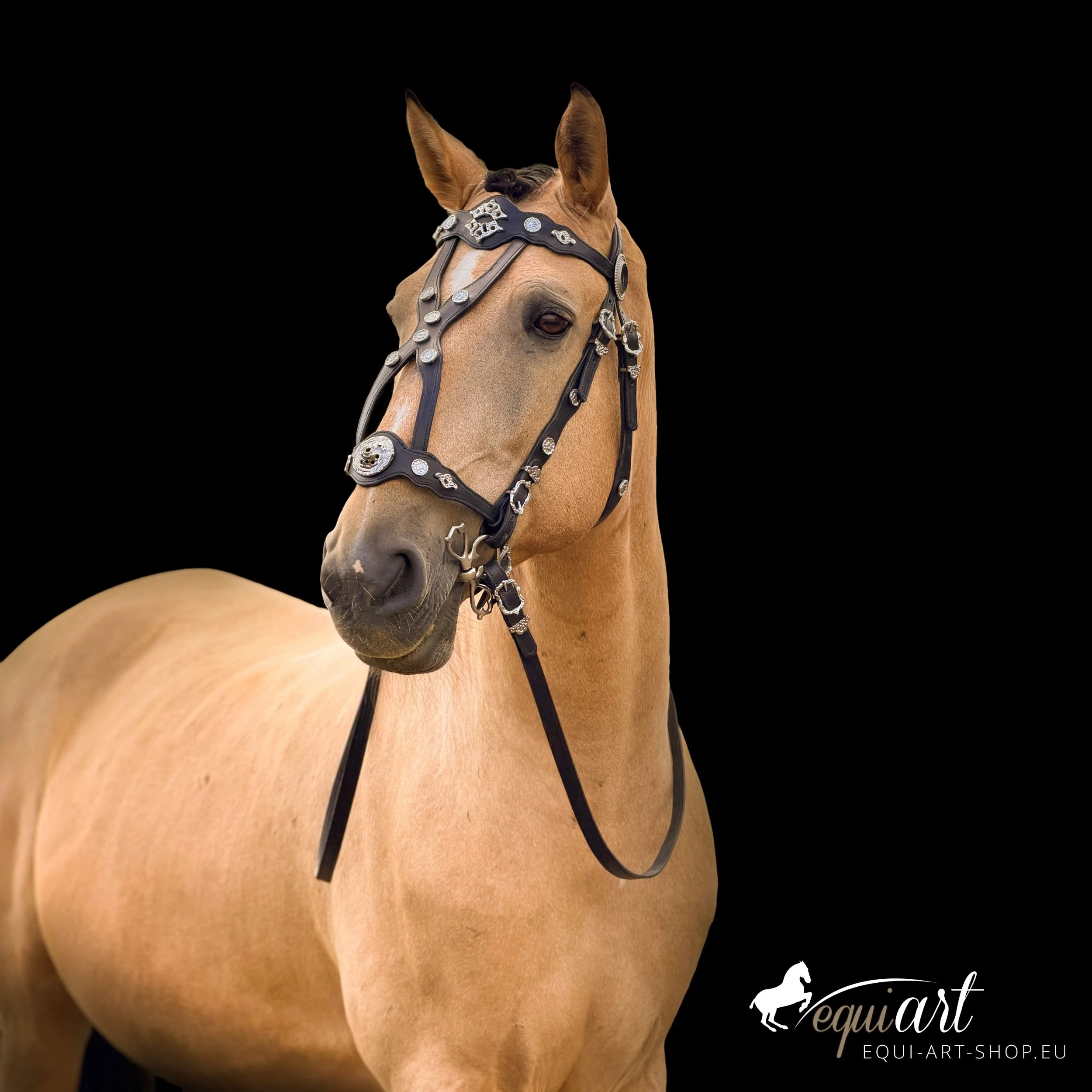 Equi-art Produkte – 8