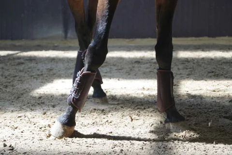 Kategorie Beinschutz-s