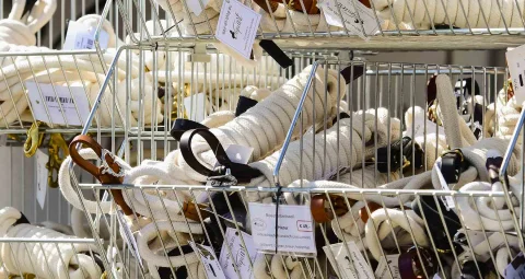 Kategorie-Bodenarbeit