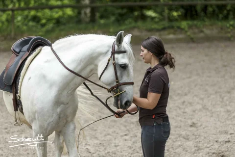 Kategorie Bodenarbeit Carbono-s