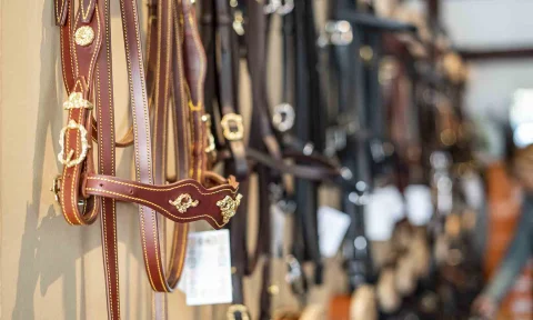 Kategorie-Kandarenzaum