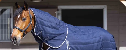 Kategorie-winterdecke