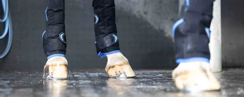 Kategoriebild Therapie Gamaschen-s