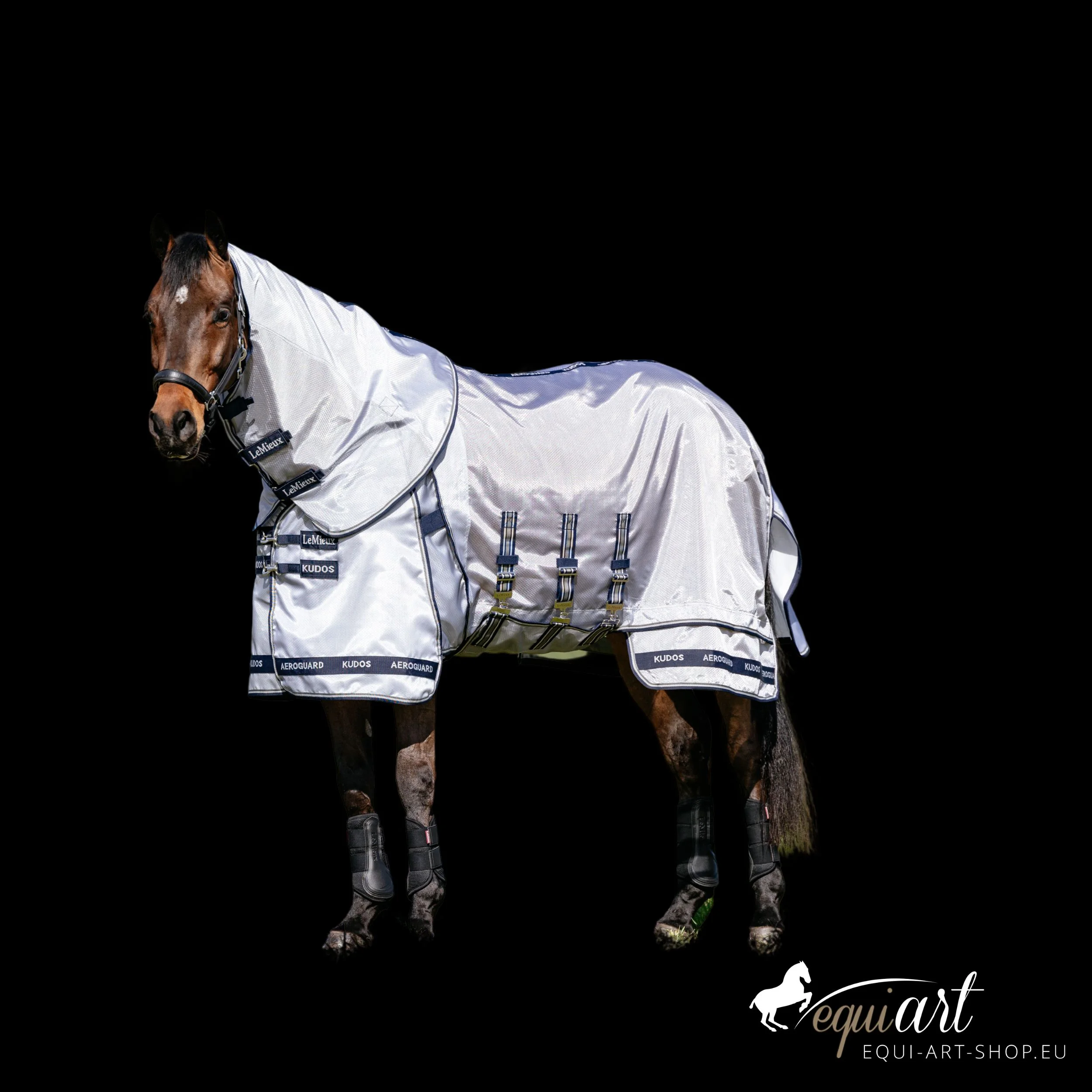 LeMieux-Arika-Kudos-Fliegendecke-Titelbild.jpg