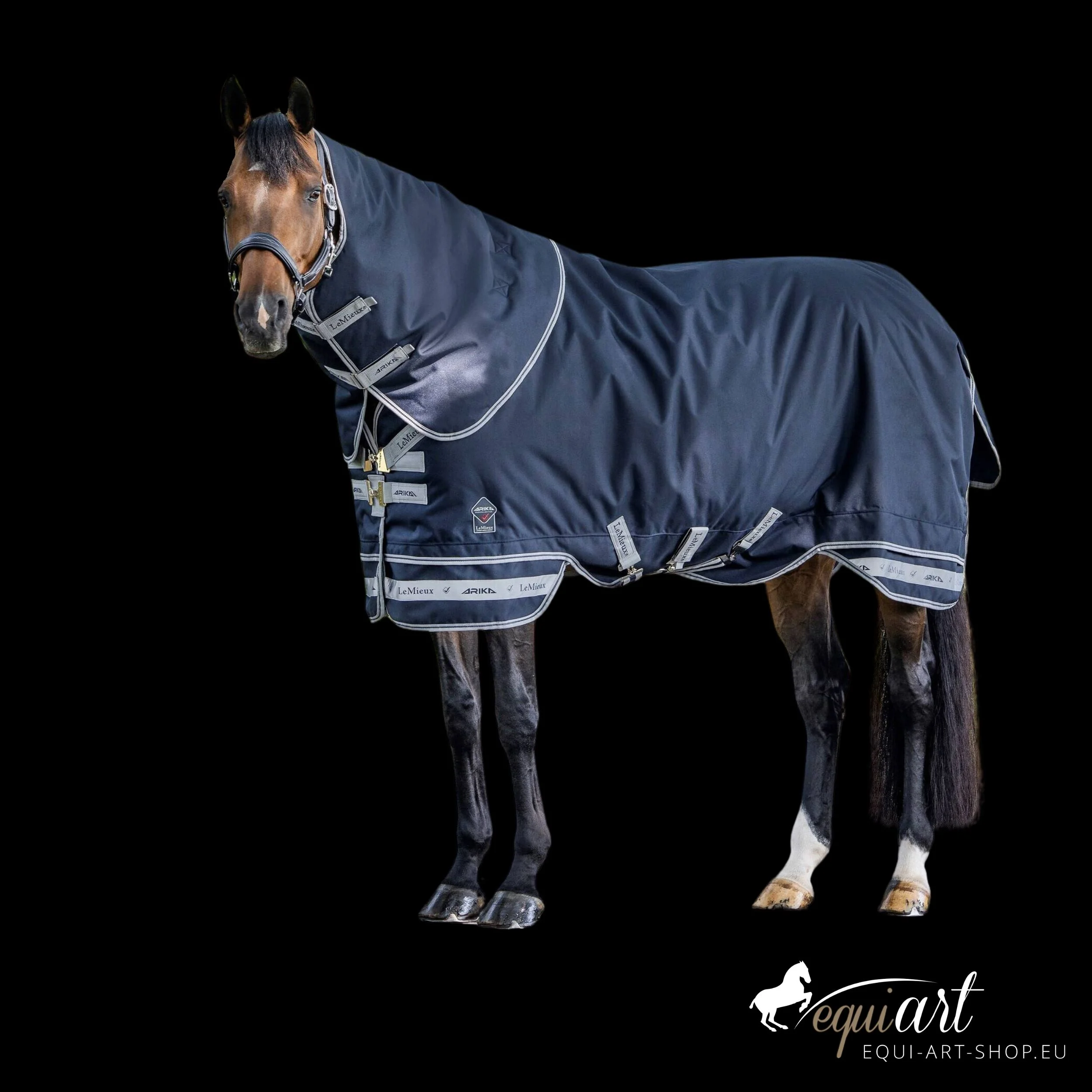 LeMieux-Arika-Storm-Titel.jpg