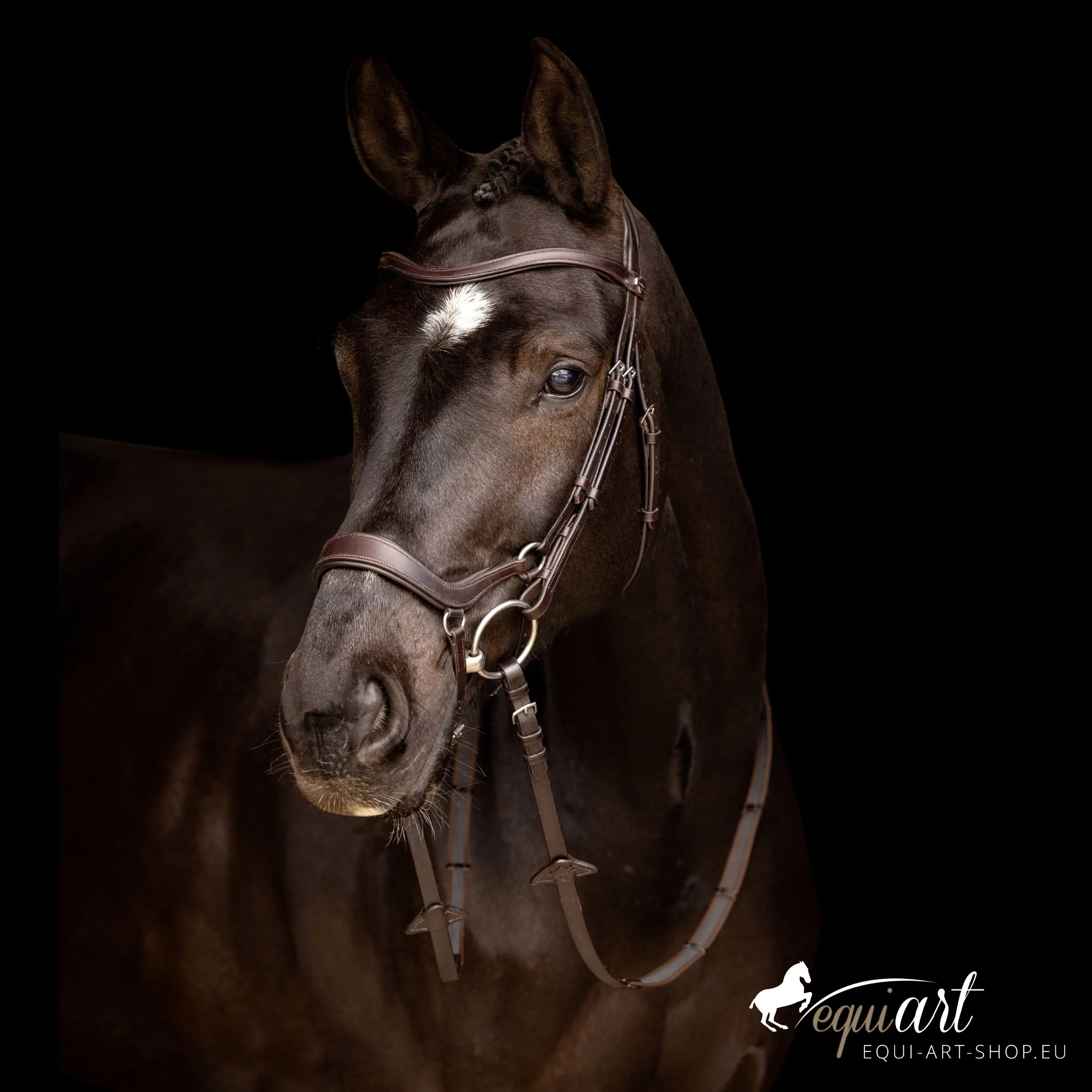 LeMieux-Arika-Trense