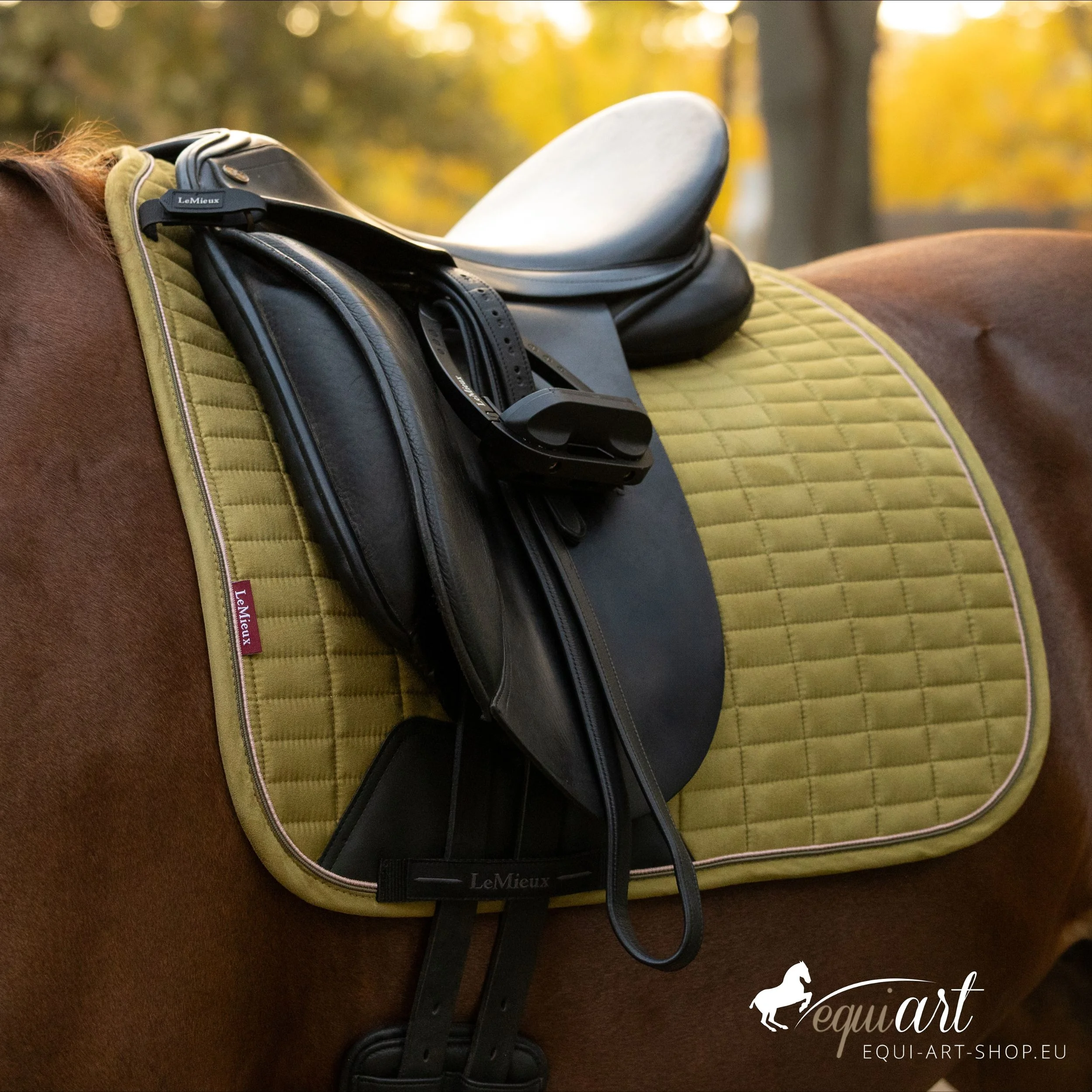 LeMieux Dressurschbracke Wildleder Grooseberry Titelbild