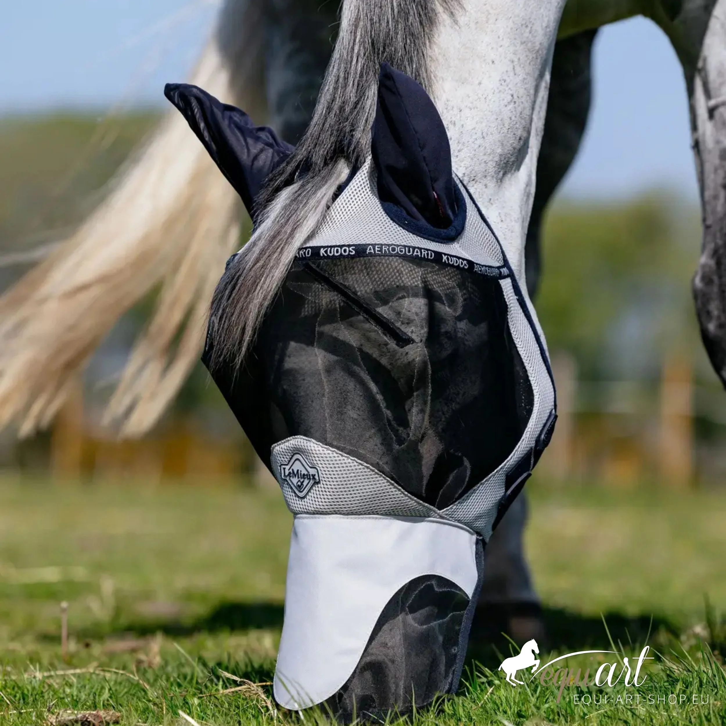 LeMieux Fliegenmaske Aeroguard Titelbild