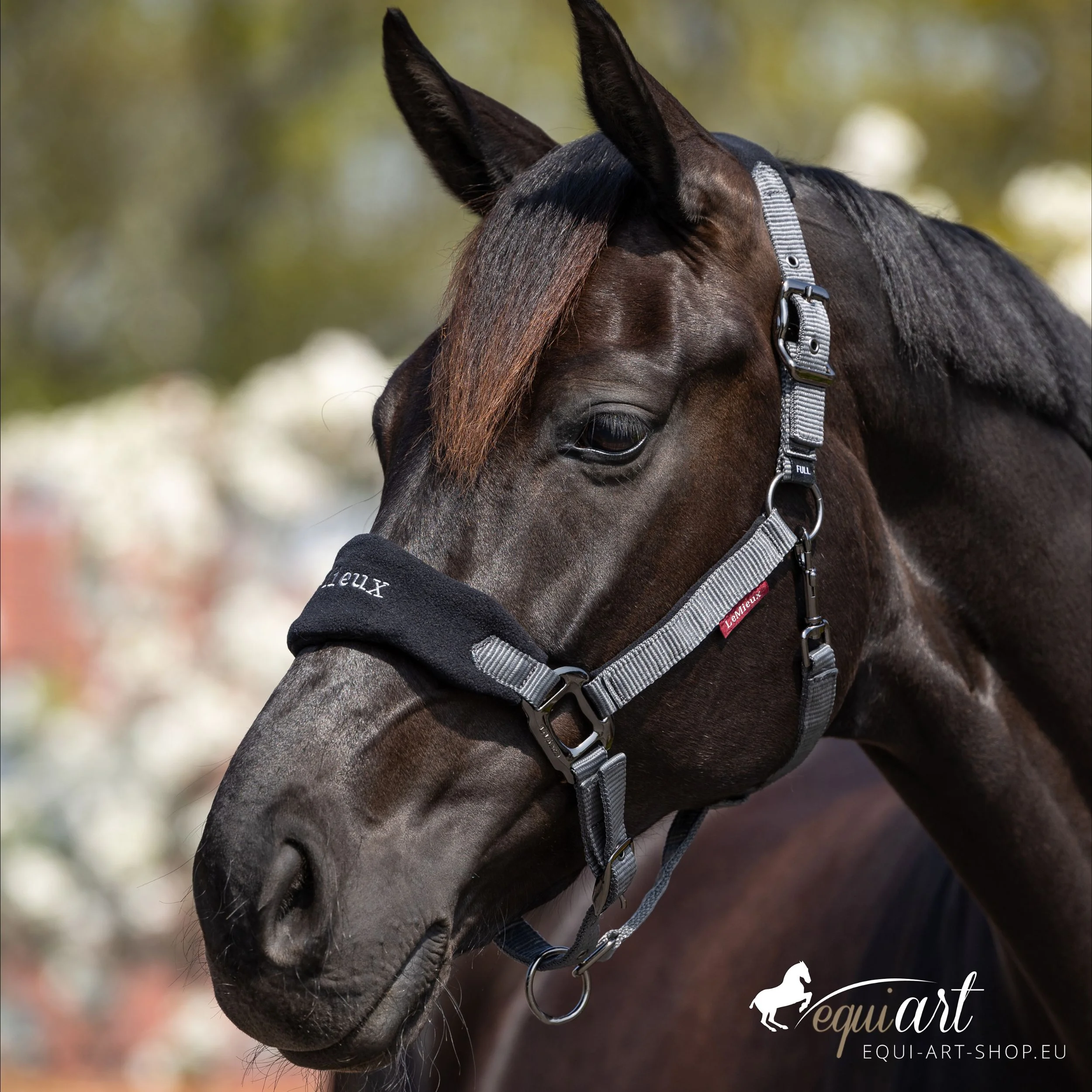 LeMieux Halfter Vogue schwarz Titelbild
