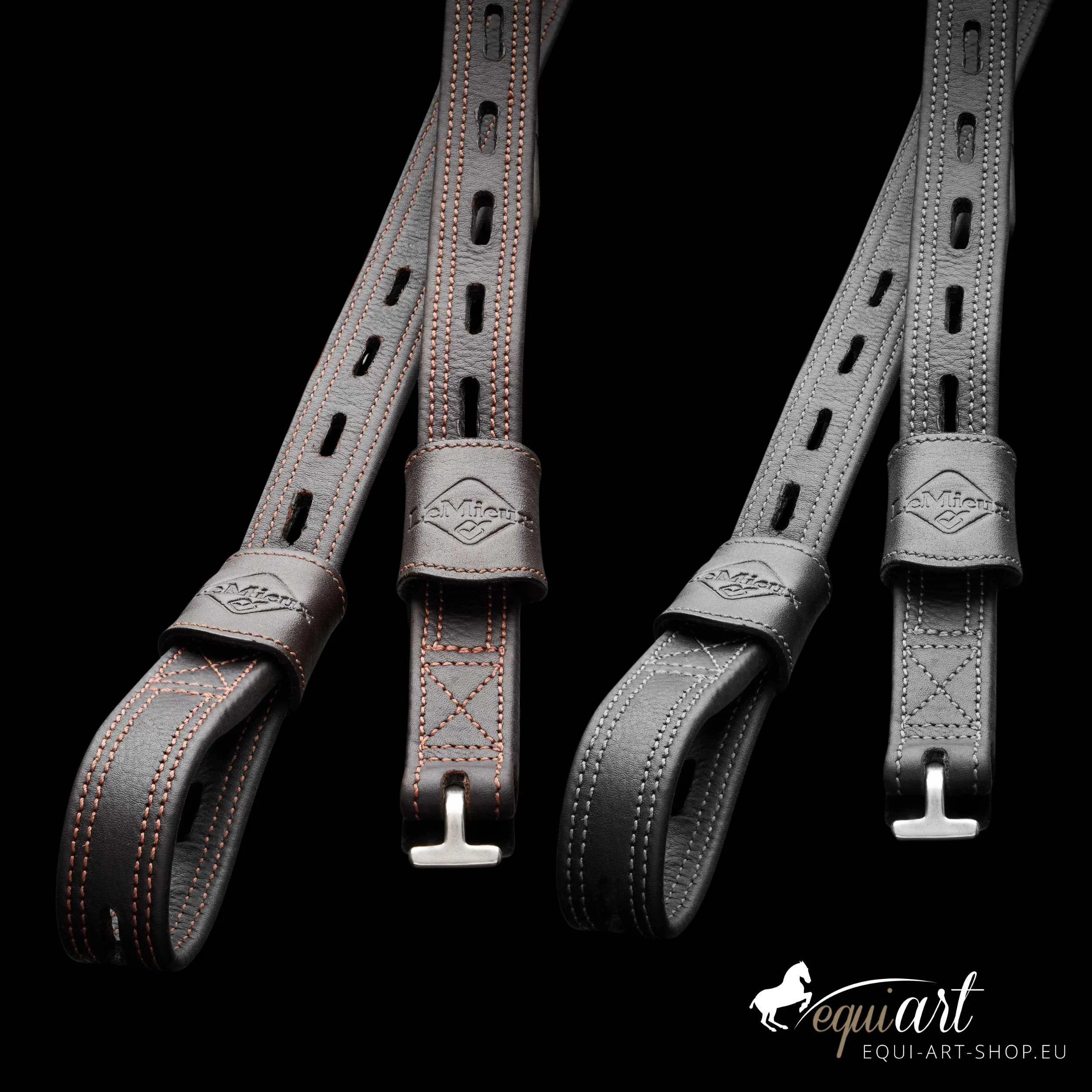 LeMieux Vector Monobügelriemen Titelbild