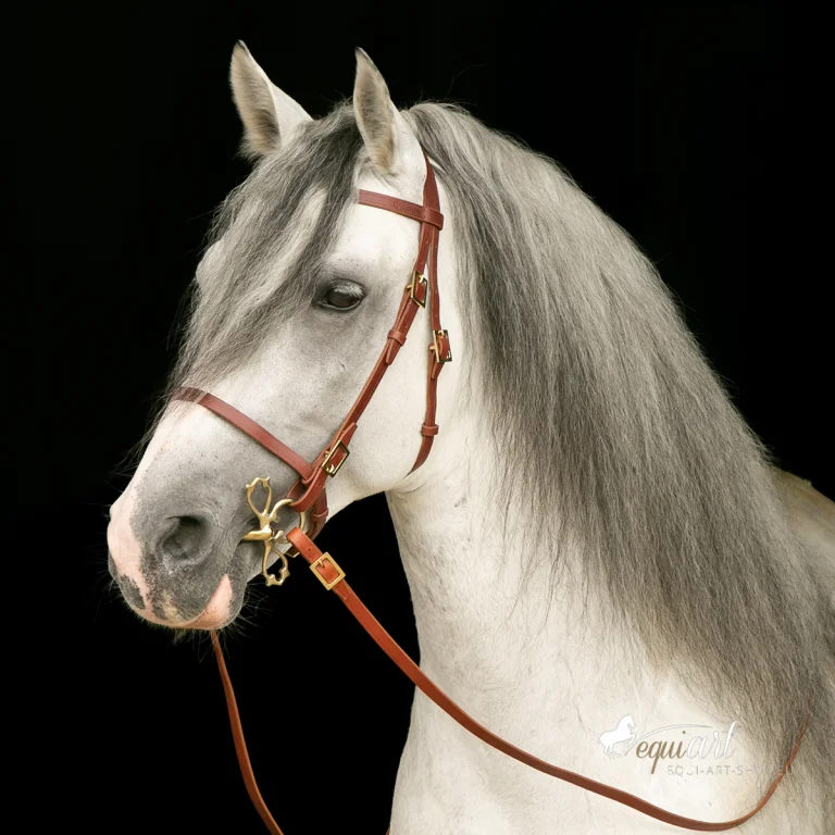 Trensenzaum Lissabon Havanna/Messing