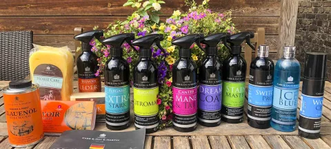 Marke-Carr-Day-Martin