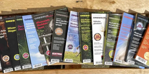 Marke-Dressurstudien