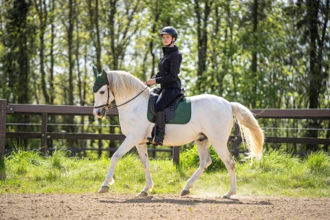 Renee Espantoso Reitplatz 7