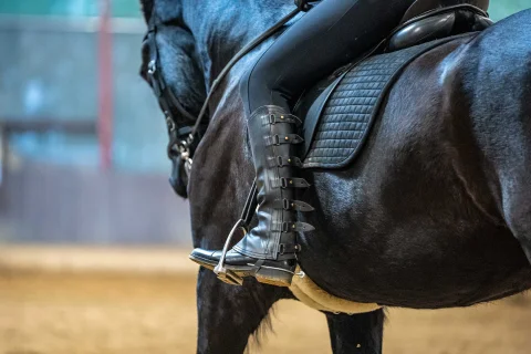 Kategoriebild für: Sporen & Gerten