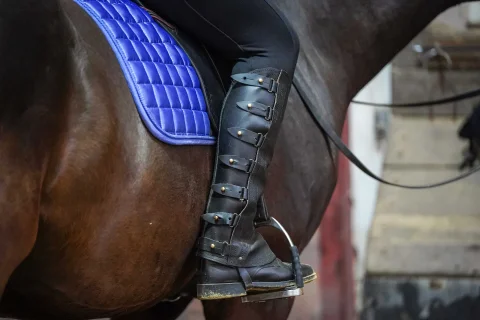 Kategoriebild für: Stiefeletten & Co.