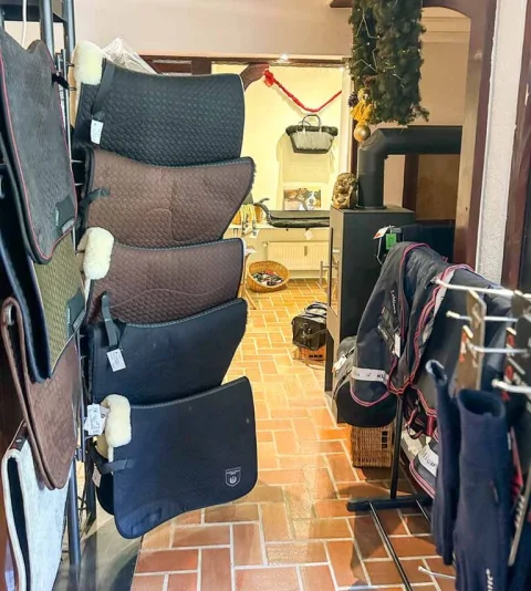 Store-bei-Werner-Christ-Horse3-768x855