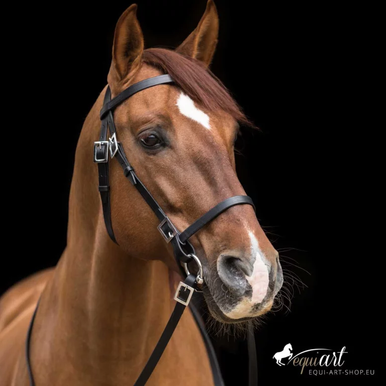 Trensenzaum Lissabon