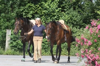 elegante-senorito-angelika graf