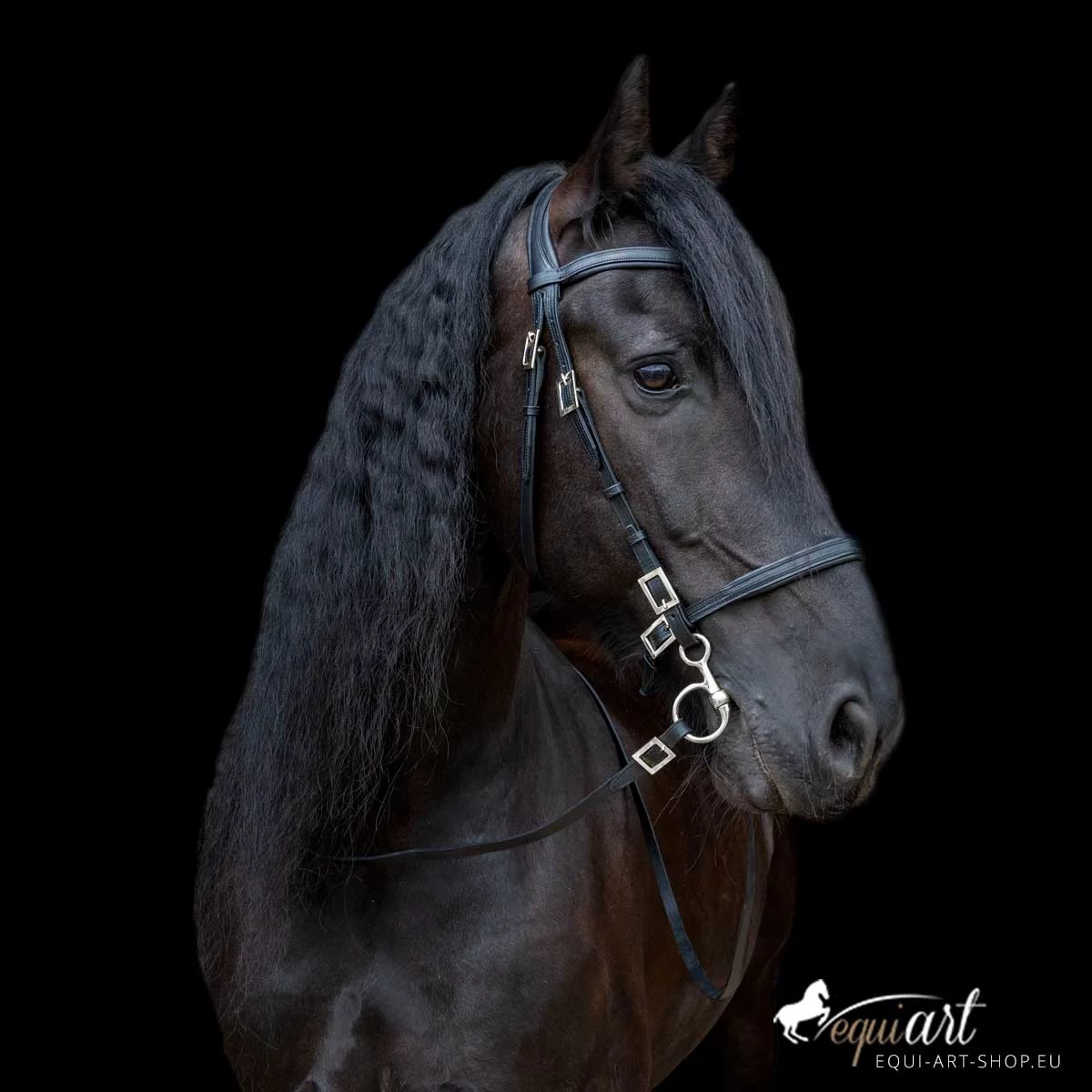 equi-art-3-Redondo-s_m-Silber.jpg