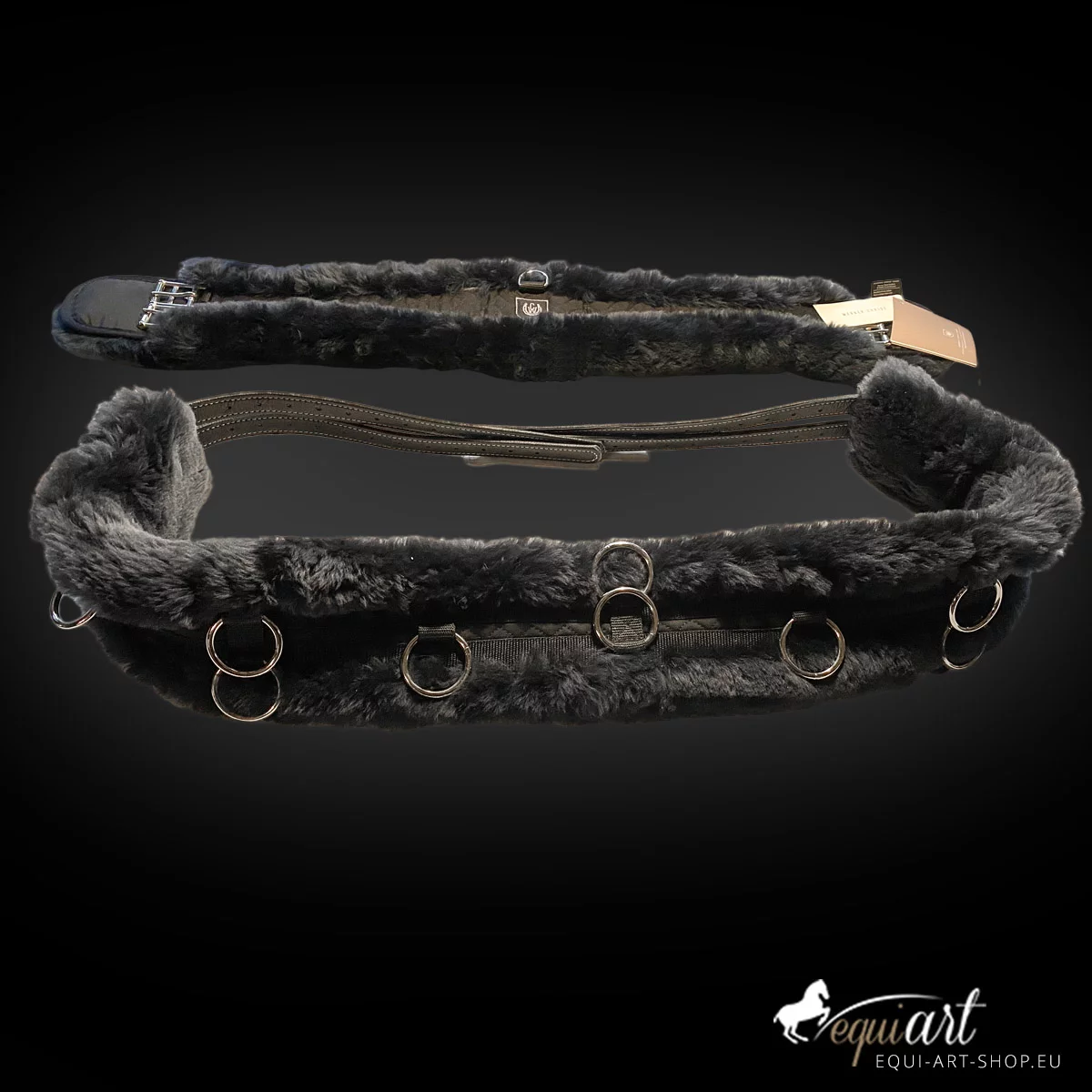equi-art-Longiergurt-komplett.jpg