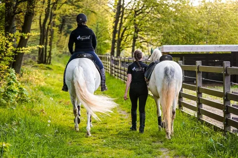 Zwei Mitarbeiterinnen reiten mit weißen Pferden