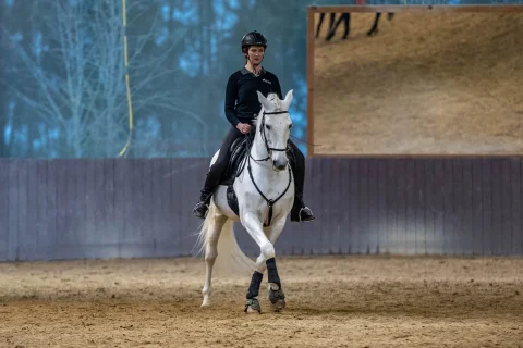 Equi Art Reitunterricht