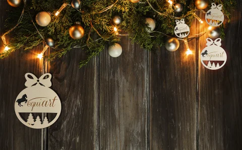 equi-art-xmas 2025