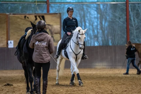 Equi Art Reitschule