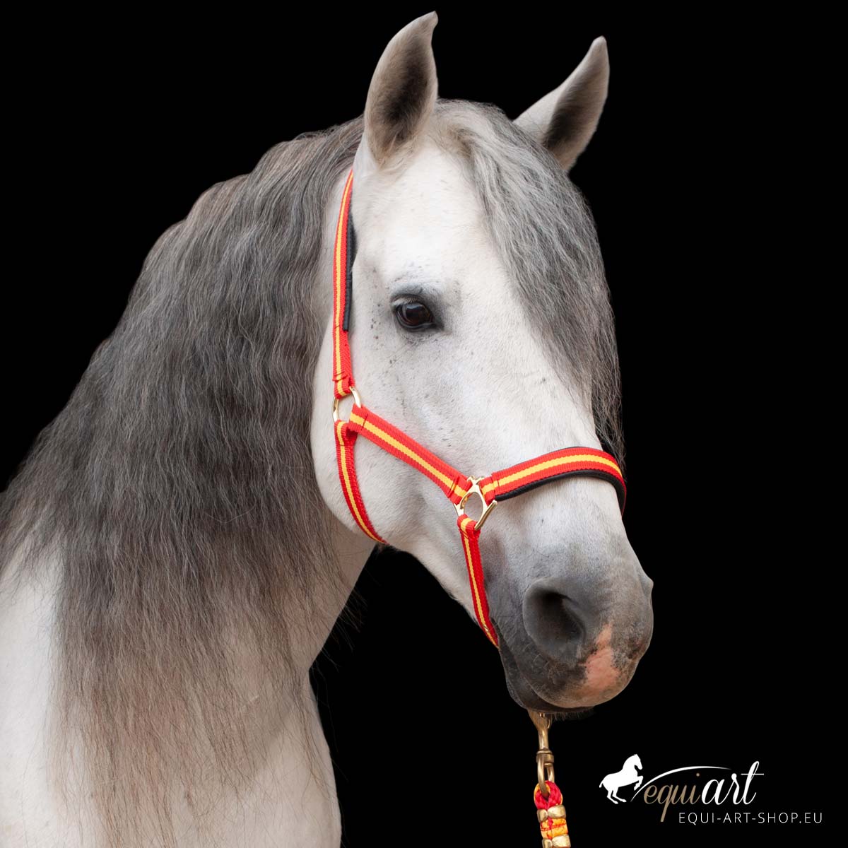 Spanisches Halfter mit Strick - VB